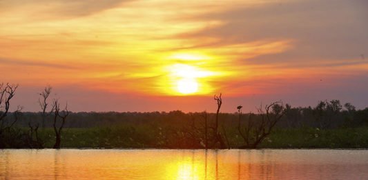 Mary River National Park Guide