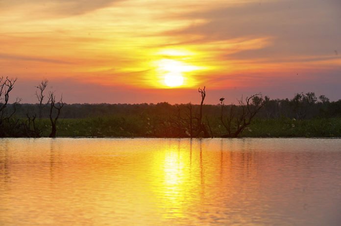 SDM Corroboree Billabong 4912