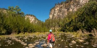 Carnarvon Gorge