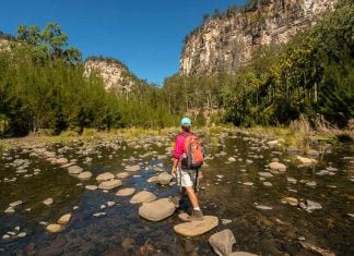 Carnarvon Gorge