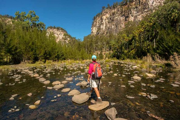 Carnarvon Gorge