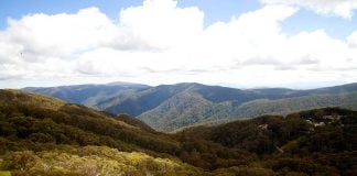 Mt Buller