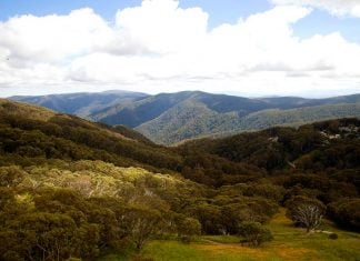 Mt Buller