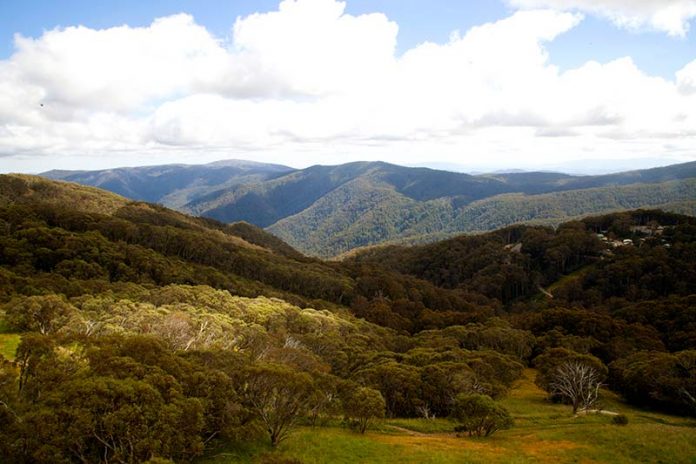 Mt Buller