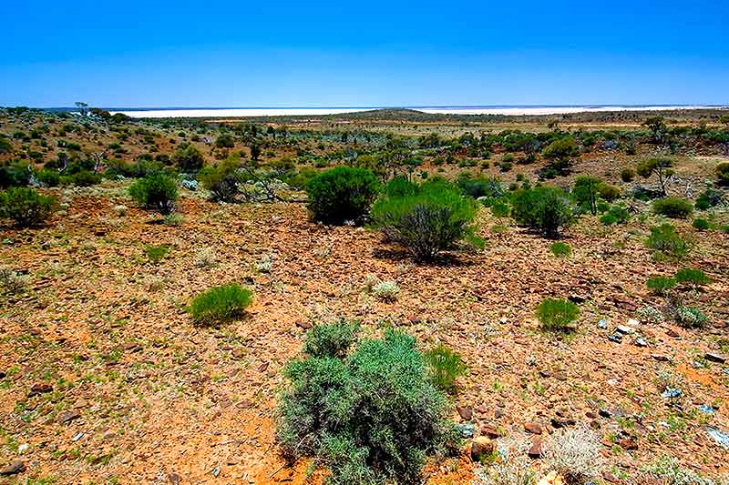 Lake Ballard