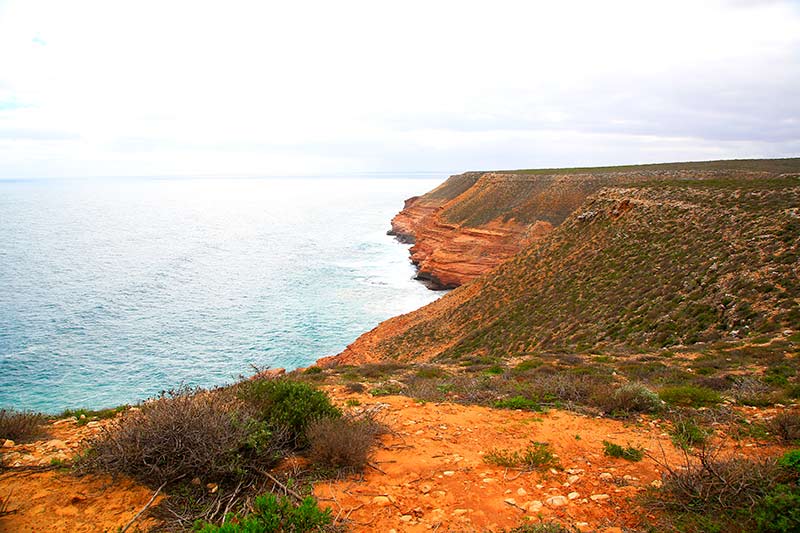 Indian Ocean Drive