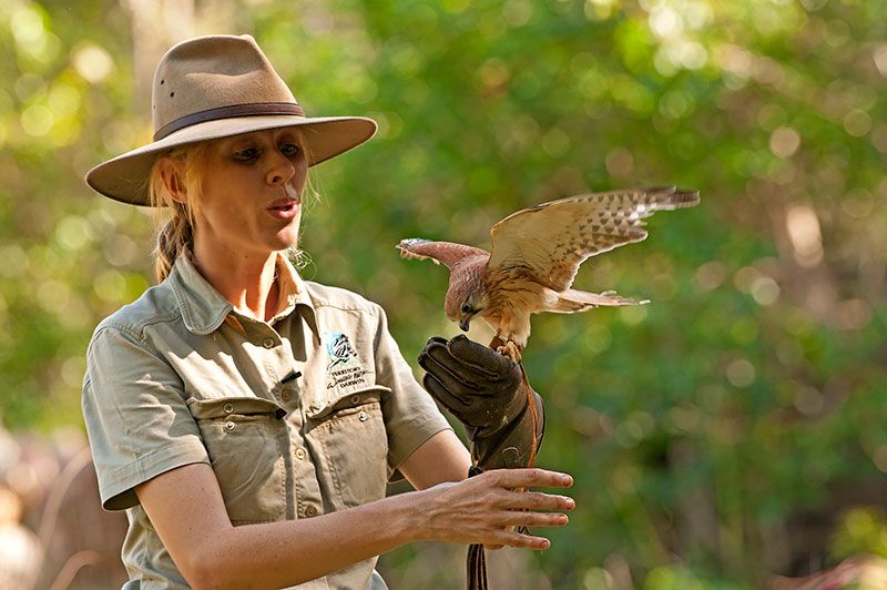 northern territory