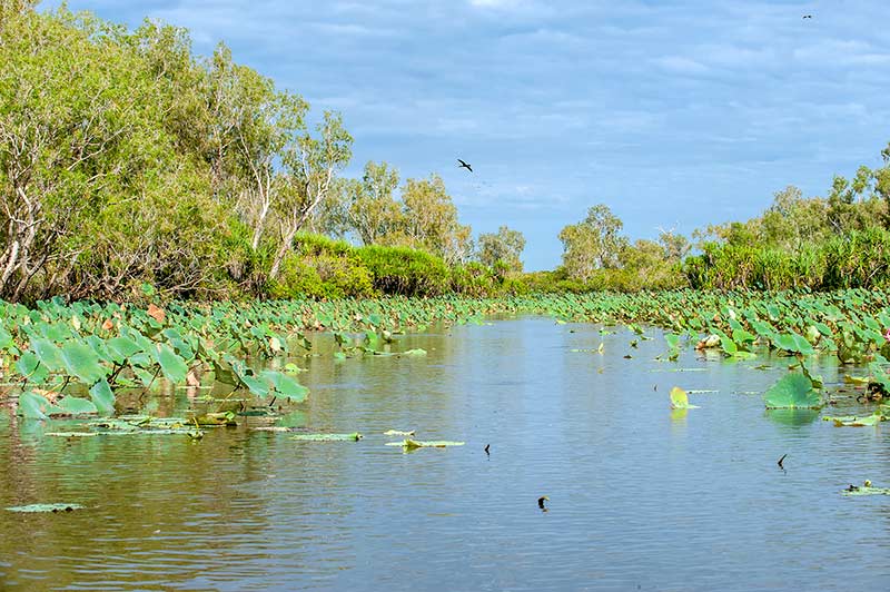 northern territory
