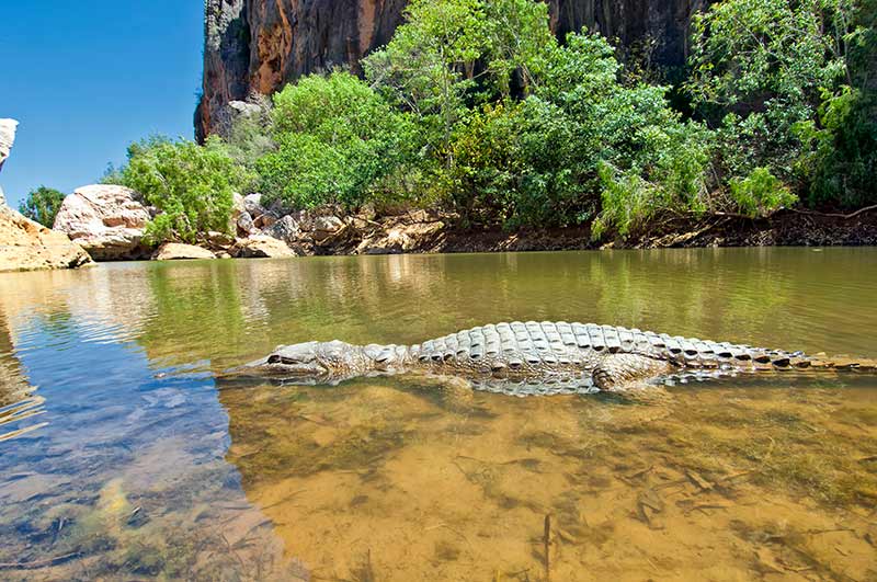 Gibb River Road