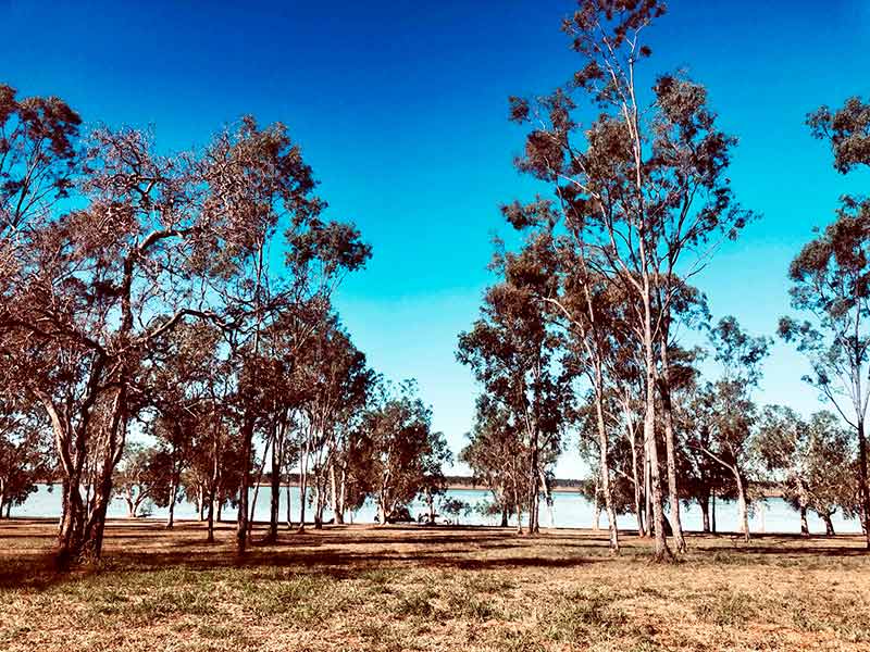 Walkamin Caravan Park