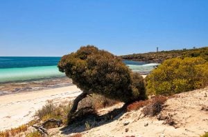Eyre Peninsula