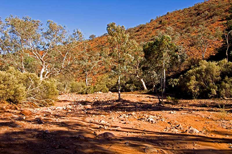 Flinders Ranges