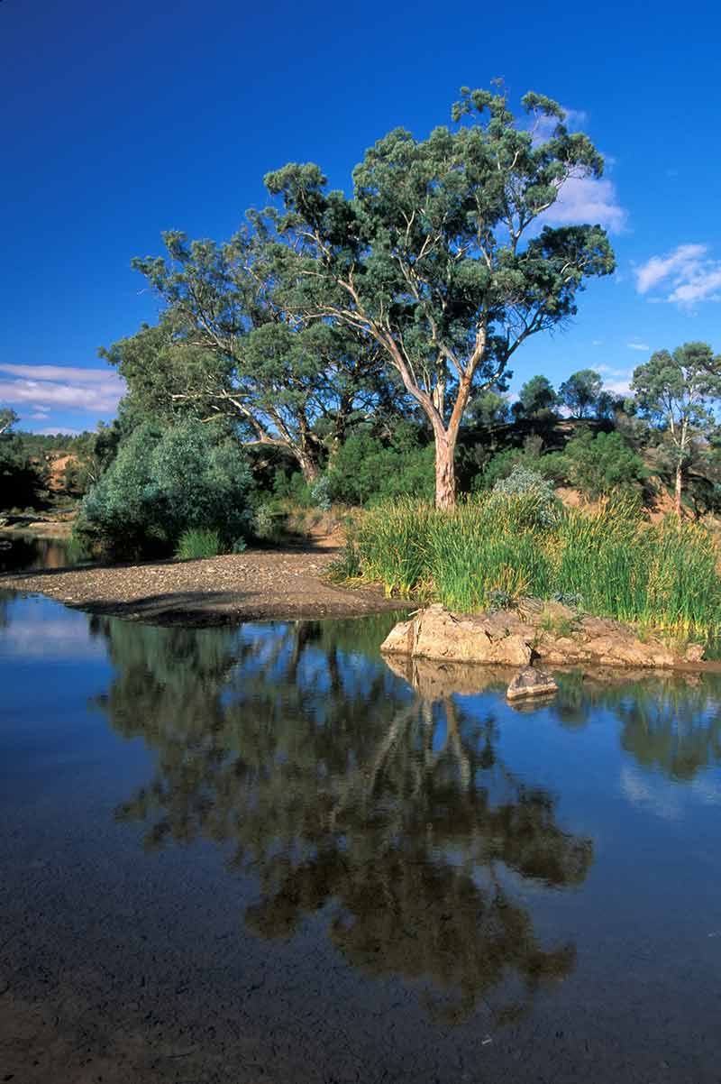 Flinders Ranges