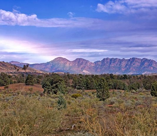 Flinders Ranges