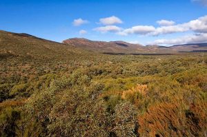 Flinders Ranges