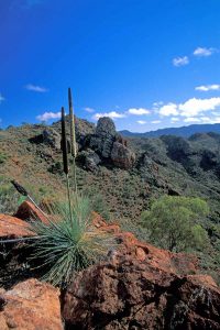 Flinders Ranges