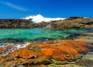 Moreton Island