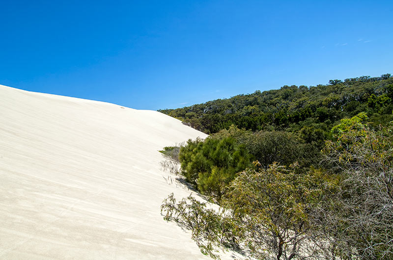 Western Australia