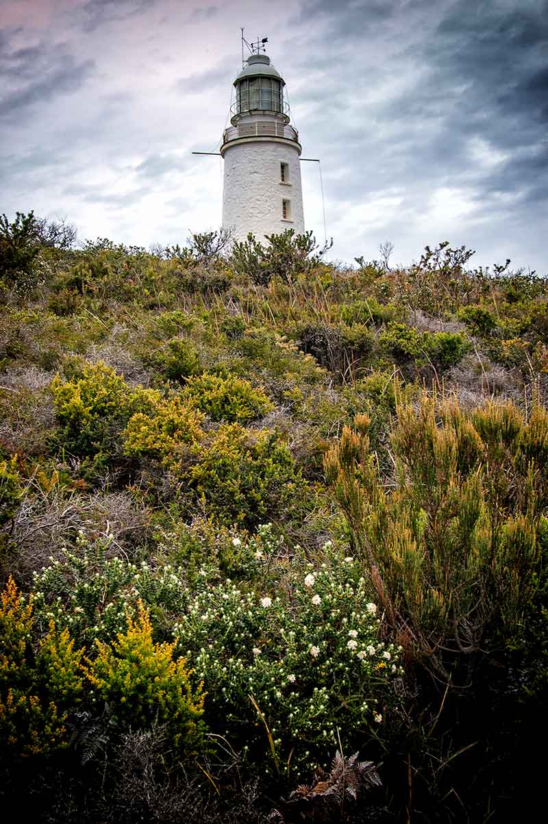 Tasmania