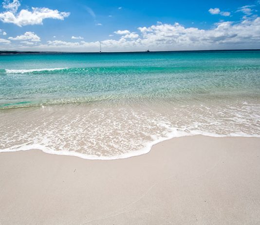 Travel Guide: Eastern Tasmania tasmania