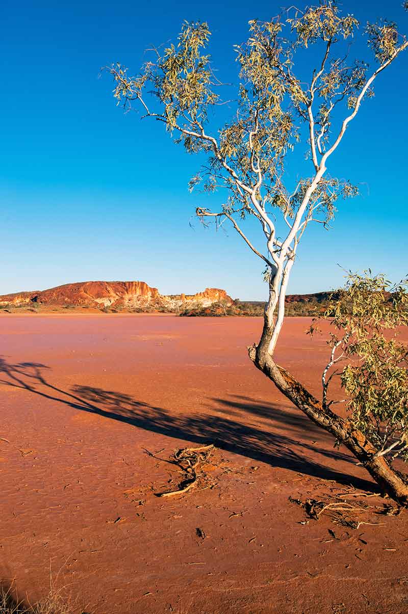 alice springs