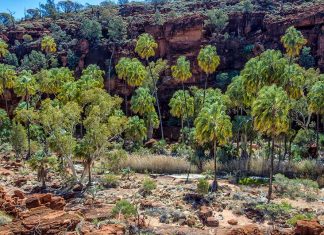 alice springs