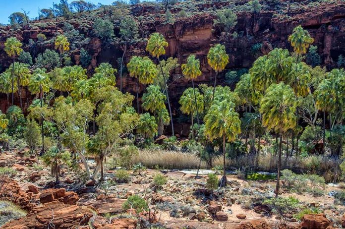 alice-springs-9 alice springs
