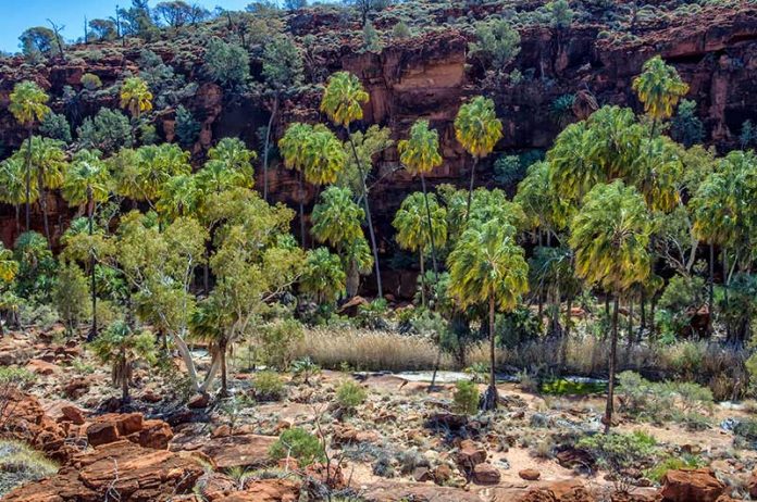 alice springs