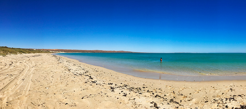 ningaloo