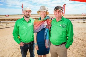 birdsville races