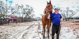 Birdsville races