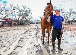 Birdsville races