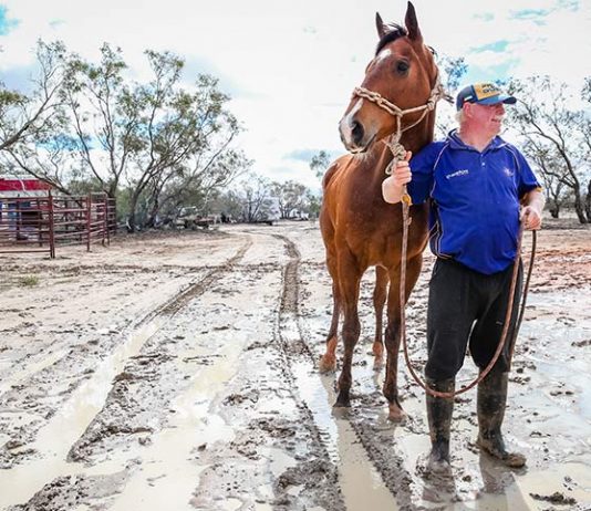 Birdsville races