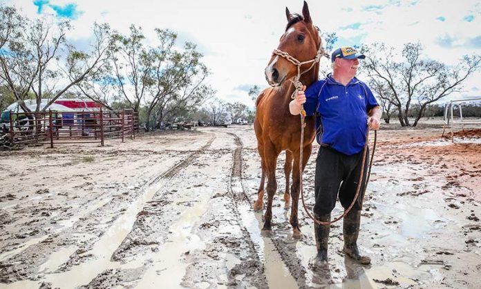 Birdsville races