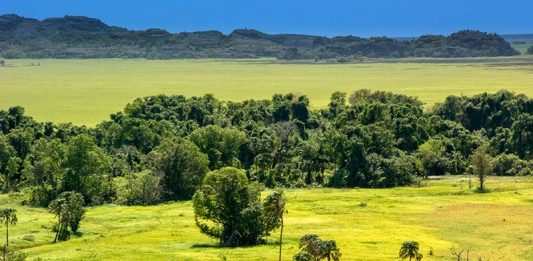 Travel Guide: Cobourg Peninsula cobourg peninsula