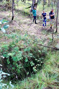 Old Glenn Innes Road