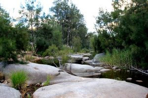 Old Glenn Innes Road