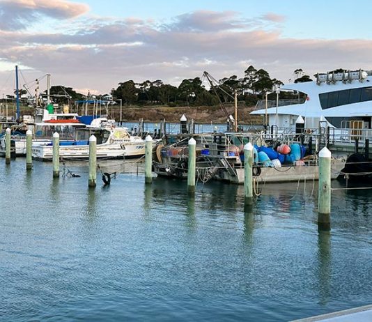 portarlington