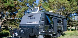 australis