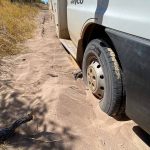 bogged