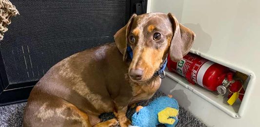 10 Life-Saving Tips When Caravanning caravanning