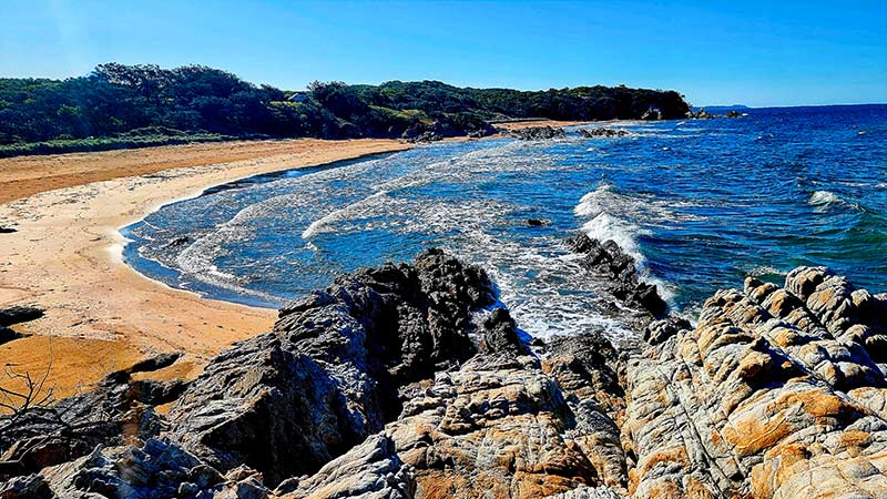curtis island