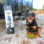 Test: 12V Outback Trailer Jack! outback trailer jack