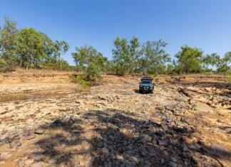 Guide: Experiences Beyond Darwin darwin