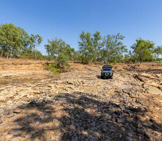 Guide: Experiences Beyond Darwin darwin