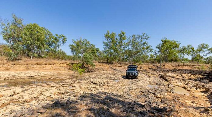 Guide: Experiences Beyond Darwin darwin